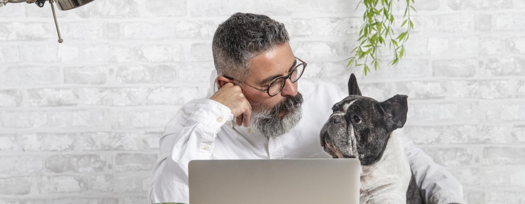 a man and a dog looking at a laptop